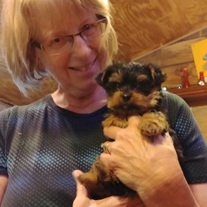 Meet your Posher, Donna